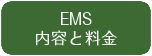 EMS内容と料金