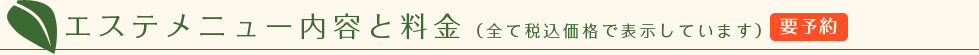エステメニュー内容と料金