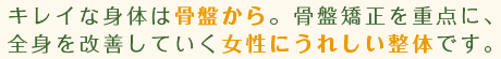 キレイな身体は骨盤から。骨盤矯正を重点に、全身を改善していく女性にうれしい整体です。