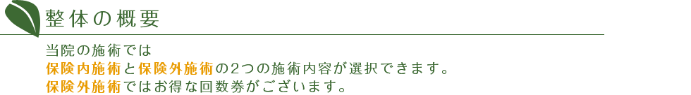 整体の概要